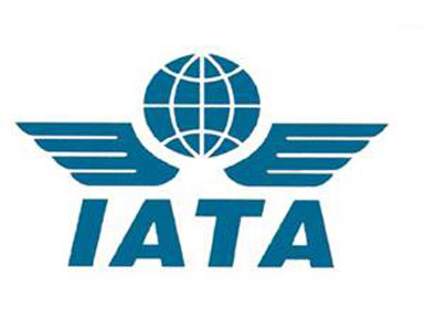 IATA: Havayolu şirketi kurmak anlamsız...