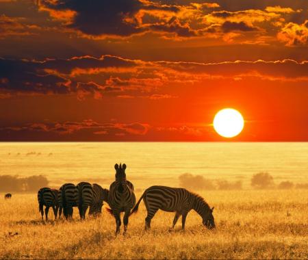 Afrika turizmine Ebola darbesi