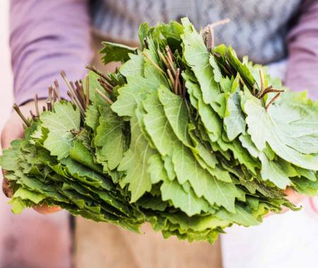 Anadolu’dan lezzet hikayeleri Tokat ile start alıyor
