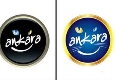 İşte Ankara'nın yeni logosu...