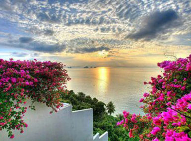 Muğla'nın turist sayısı yükseldi...