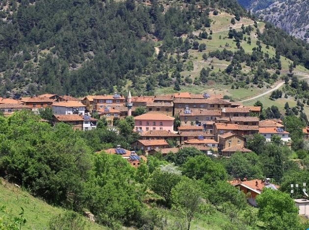 Bu ilçede oteller bedava