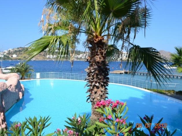Clup Flipper'a Araplar talip 