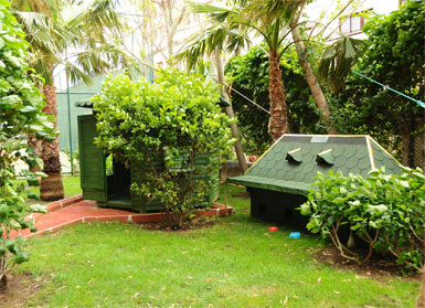 Delphin Palace'ın bahçesinde Cat House...