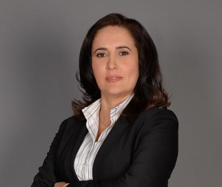 Elimizi taşın altına koymalıyız