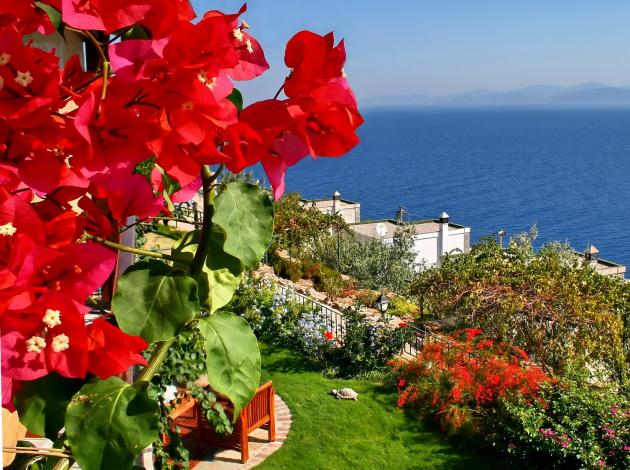 Bodrum'u tanıtacak Fotoğraf Yarışması