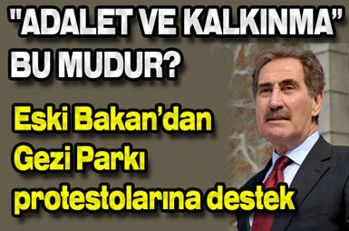Günay'dan Gezi Parkı eylemlerine destek...
