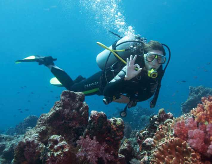 Dalış turizminin kalbi Bodrum'da atacak