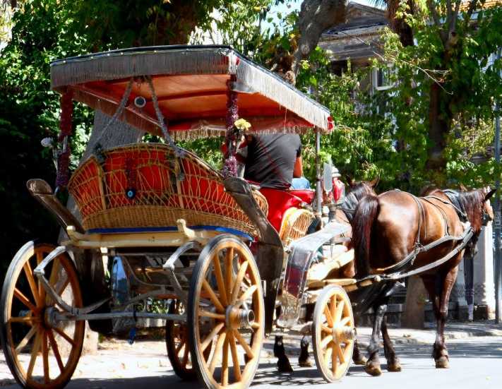 Adalarda turiste fayton taşımaya elektrikli araç