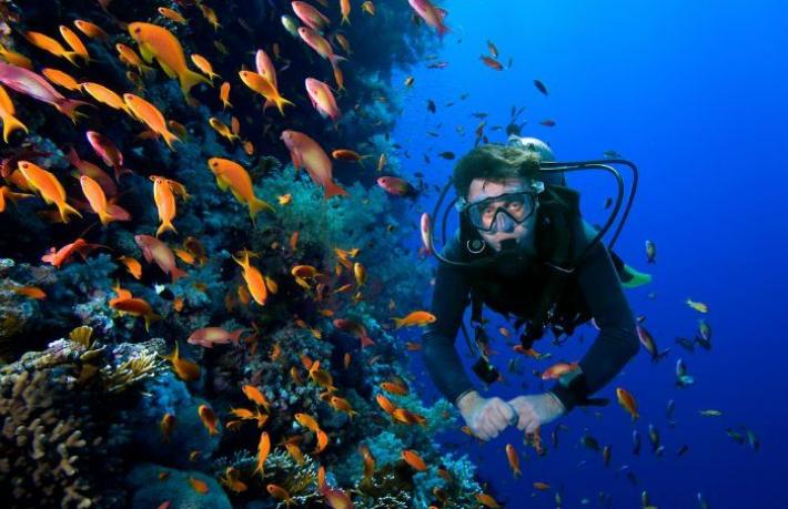 Antalya'nın turizm gelirinin 5'te biri "Deniz"den