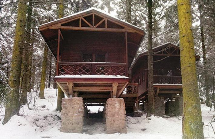 Bungalov ihalesi mahkemeyi dinlemedi