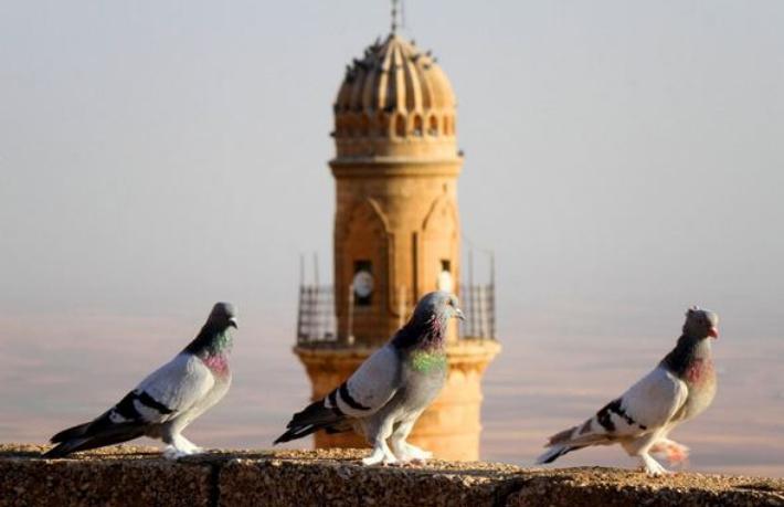 Mardin'de balon turizmi başlıyor