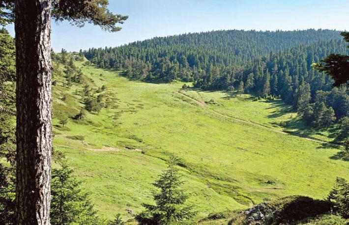 Ormanlar turizme açılıyor