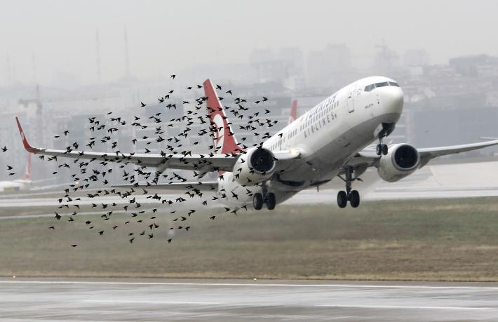 Bakan'dan 'Yeni havalimanı' itirafı