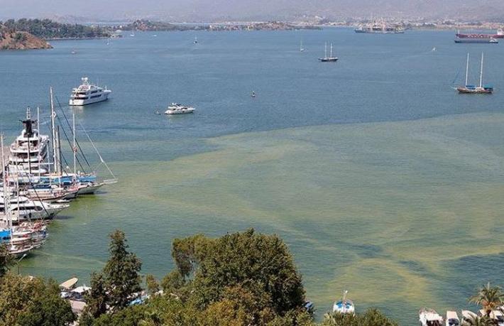 Tatil cennetindeki kirliliğin nedeni belli oldu