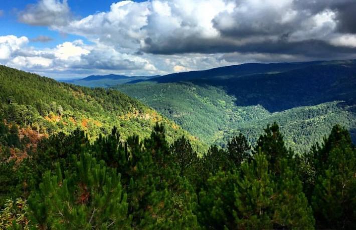 Kaz Dağları'nın üstü 'Altından' daha değerli