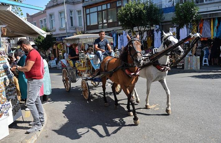 Büyükada’da faytoncu kavgası: 19 yaralı