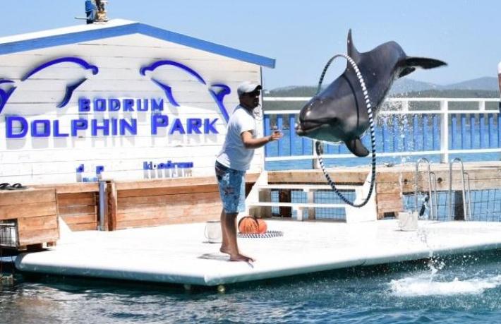 Bodrum'da tepki çeken Yunus Parkı kapatıldı