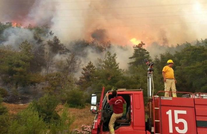 Akfen’den İzmir’e 5 bin fidan bağışı