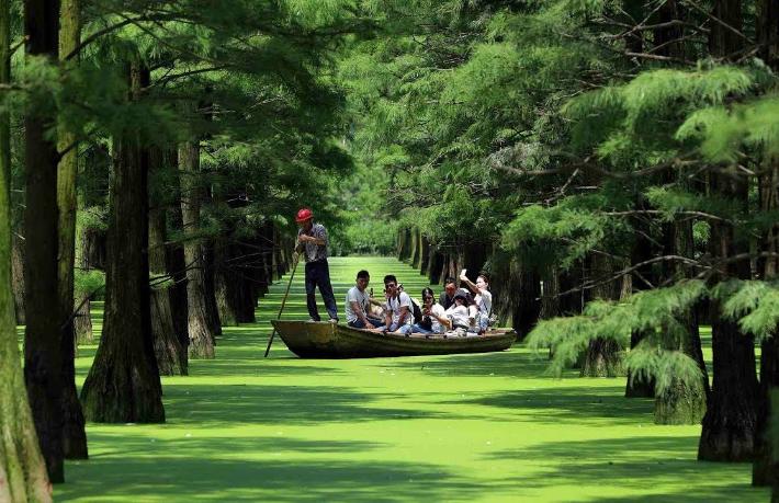 Çin'de orman turizmi 6 ayda 900 milyon turist ağırladı