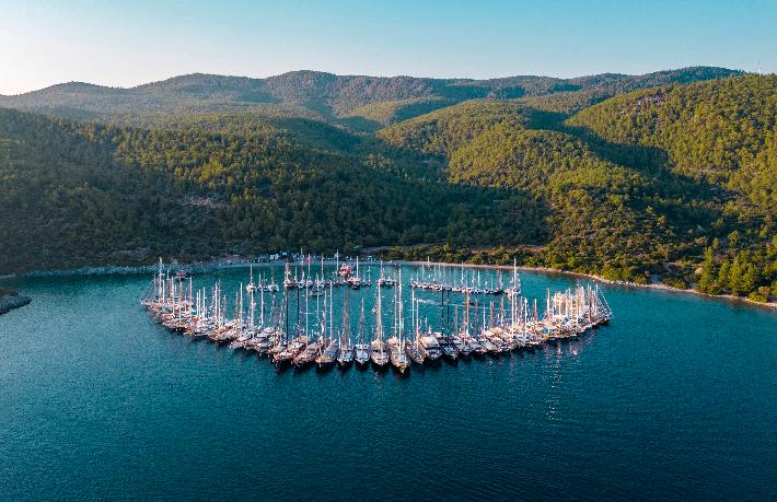 Bodrum'da dünyanın en büyük sevgi çemberi oluşturuldu