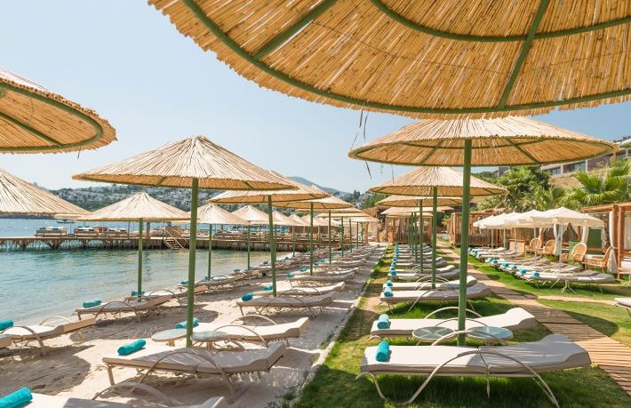 2019'da kaç otel icradan satıldı?