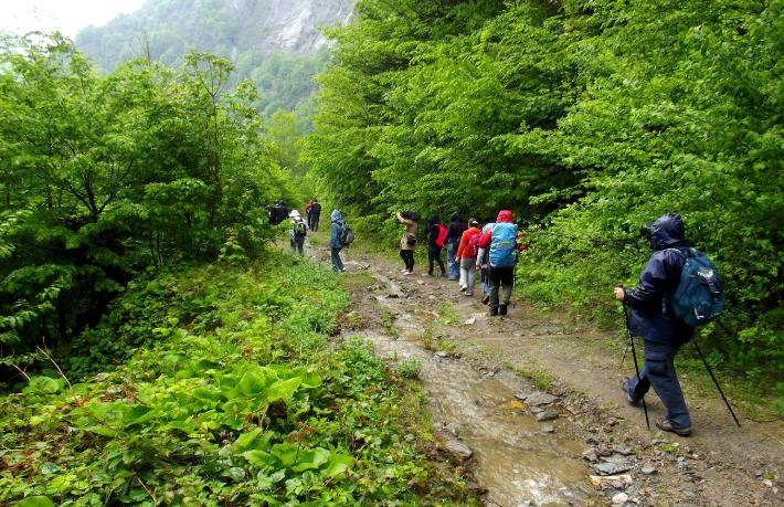 Aytepe haramilerin mekanı olmuş