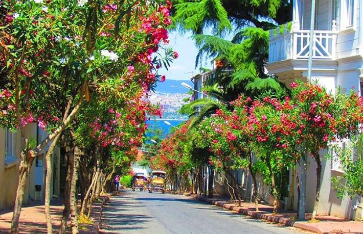 Adalar'a giriş-çıkış 1 ay boyunca yasaklandı