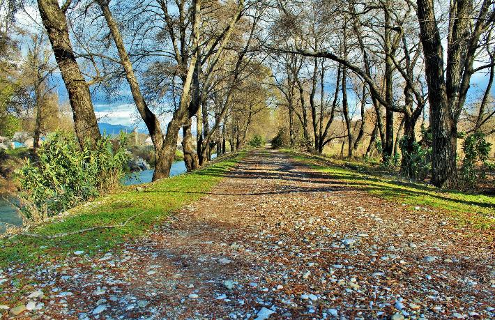 Orman Genel Müdürlüğü'nden turizm atağı