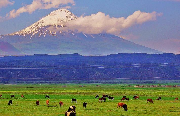 Başkanı’nın ‘Ağrı Dağı hayali’: Kafeler, dev Nuh’un gemisi, oteller…