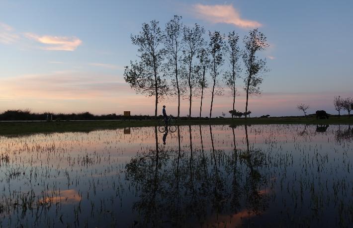 Kızılırmak Deltası’nda otel kararı tepki topladı