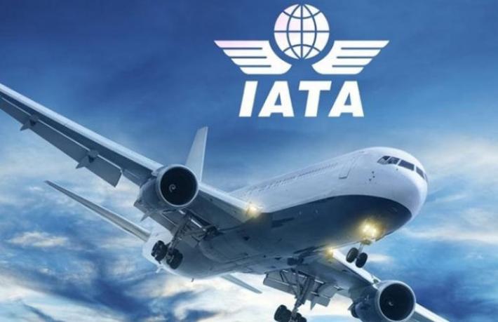 Hava Yolu gelirleri yüzde 66 düşecek