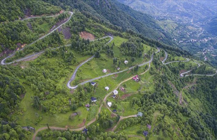 Amasya, Bolu ve Trabzon'da yaylalar imara açılıyor