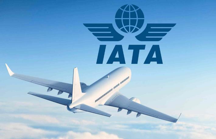 IATA'dan 'Hava taşımacılığı yeniden başlatılsın' çağrısı