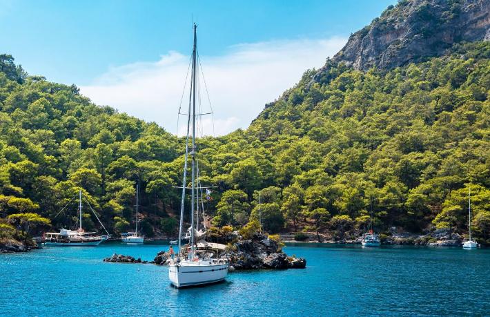 Türkiye'nin 2020'deki tanıtım çalışmalarında alınan sonuçlar açıklandı