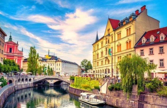 Slovenya ‘Online Workshop’ düzenleyecek