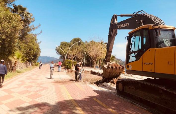 Bakanlığın plaj için ağaç kesmesi, çevrecileri ayaklandırdı