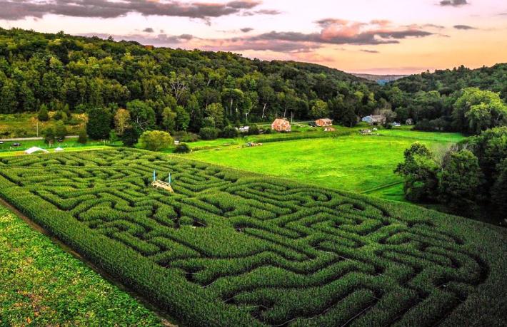 Mısır Labirenti ilk kez Türkiye’de