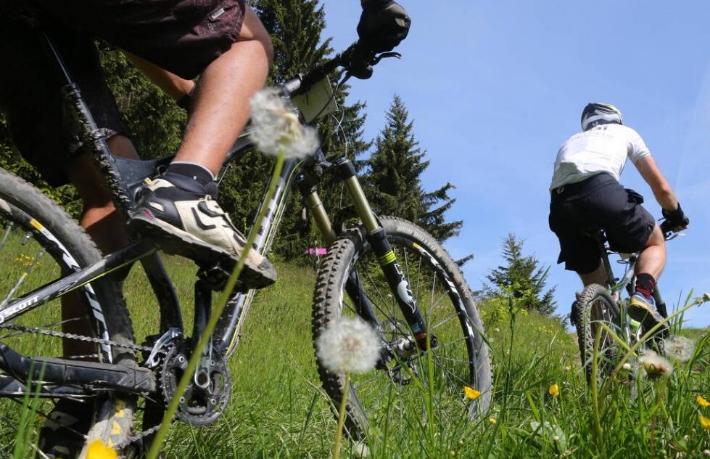 Türkiye turuna çıkan İsviçreli turistlerin bisikletleri çalındı