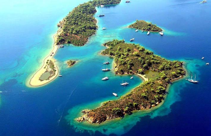 WWF: Akdeniz büyük tehdit altında… Gökova Körfezi'ni örnek gösterdi