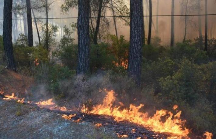 Marmaris’te karayolu ulaşıma kapatıldı