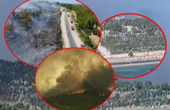 Kanun bir gecede değişti orman yangınları başladı