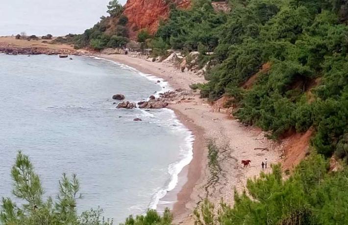 Yasaya aykırı iddiası var ama... Burgazada Madam Martha Koyu kiralama yoluyla özelleştirilecek