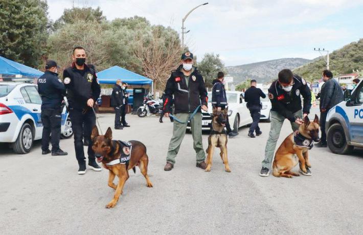 Turizm çetelerine operasyon