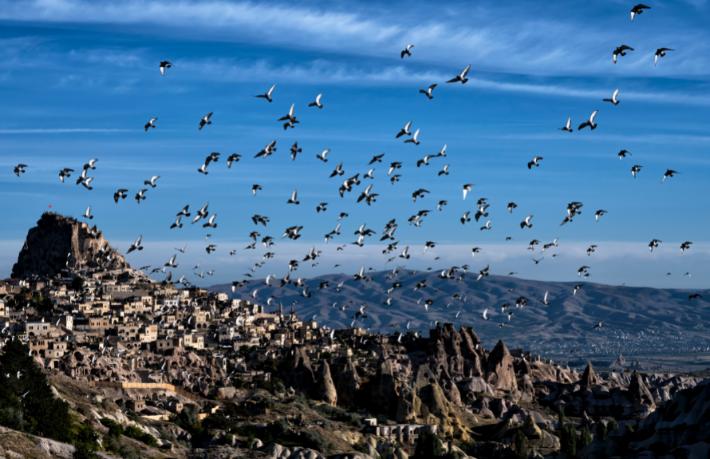 UNESCO Touristica Photo Safari ekibi antik kentleri fotoğraflıyor