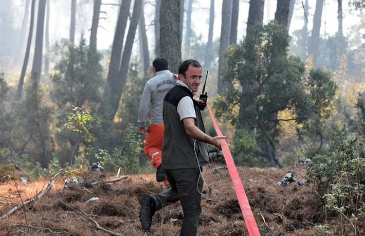 Antalya'da orman yangını çıkaran 7 Rus turist tutuklandı