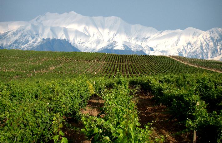 Azerbaycan’a 'En İyi Sınır Ötesi Şarap Turizmi Ürünü' ödülü