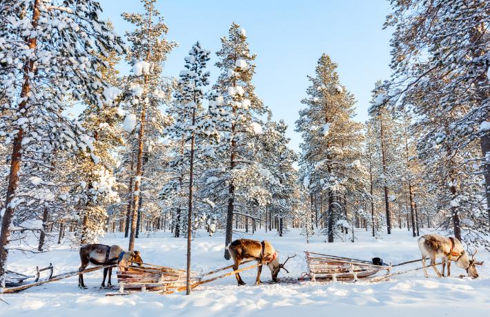 Jolly, kuzey ışıklarının büyülü dansına davet ediyor