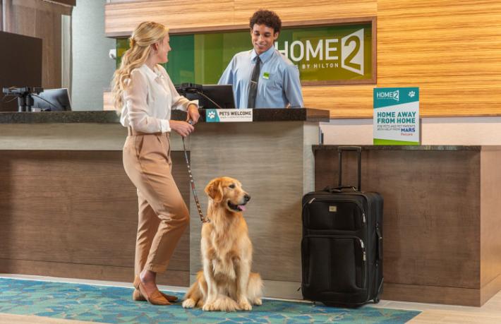 Değişen seyahat trendinin ip uçları... Sağlık, dijital, evcil hayvanla seyahat