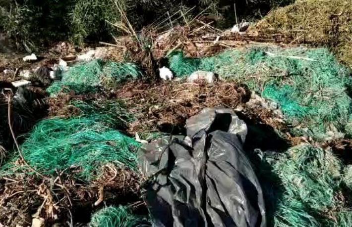 Patara tehlike altında